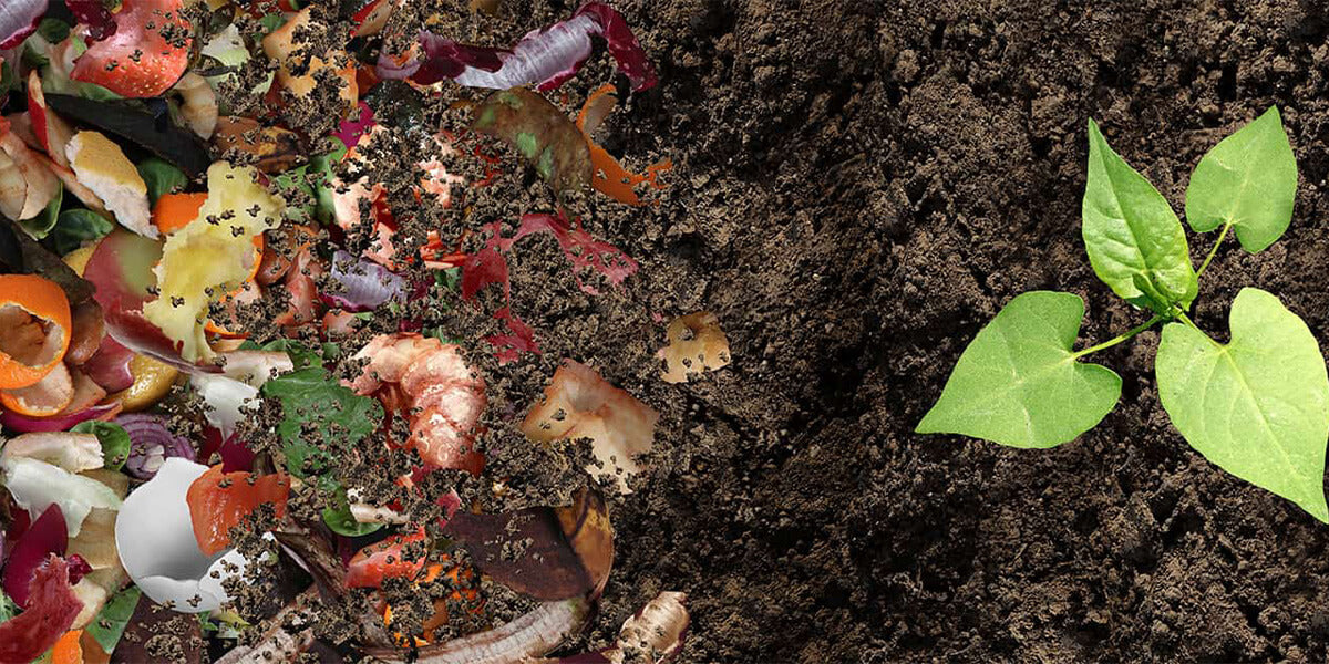 Comment faire un bon compost