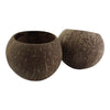 2 bols noix de coco grande contenance
