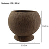 Dimensions bol coco grande contenance avec socle