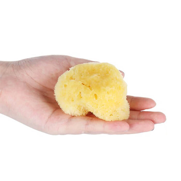 Éponge de mer naturelle