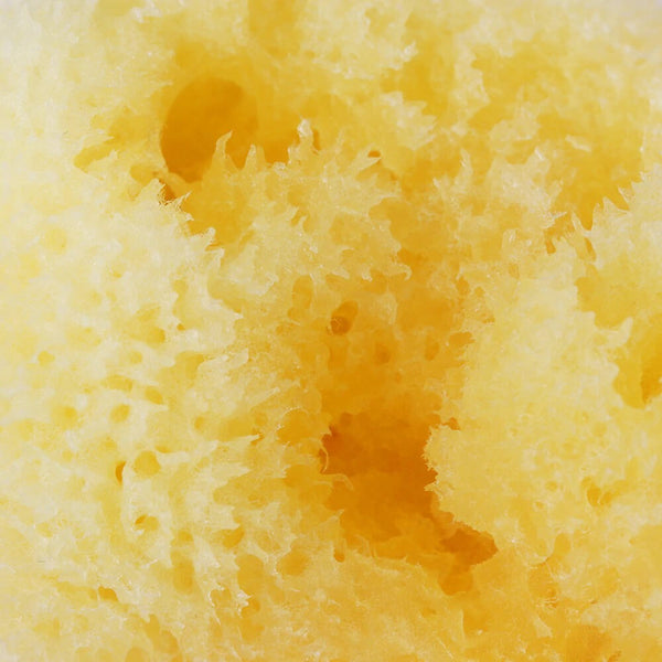 Éponge de mer pour le visage