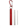 Paille inox rétractable gris + étui rouge