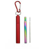 Paille inox rétractable rainbow + étui rouge