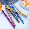 Pailles inox large