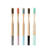 Brosse à dents bambou manche coloré 5 pièces multicolore