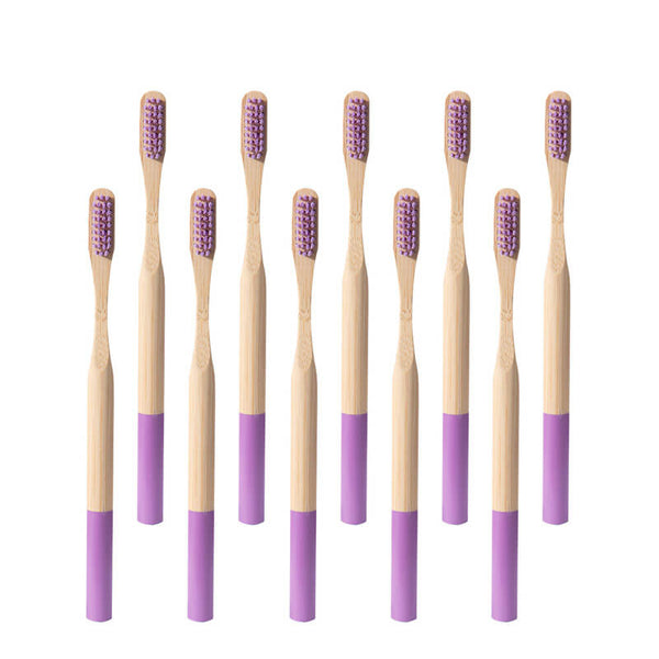 Brosse à dents bambou manche coloré violet