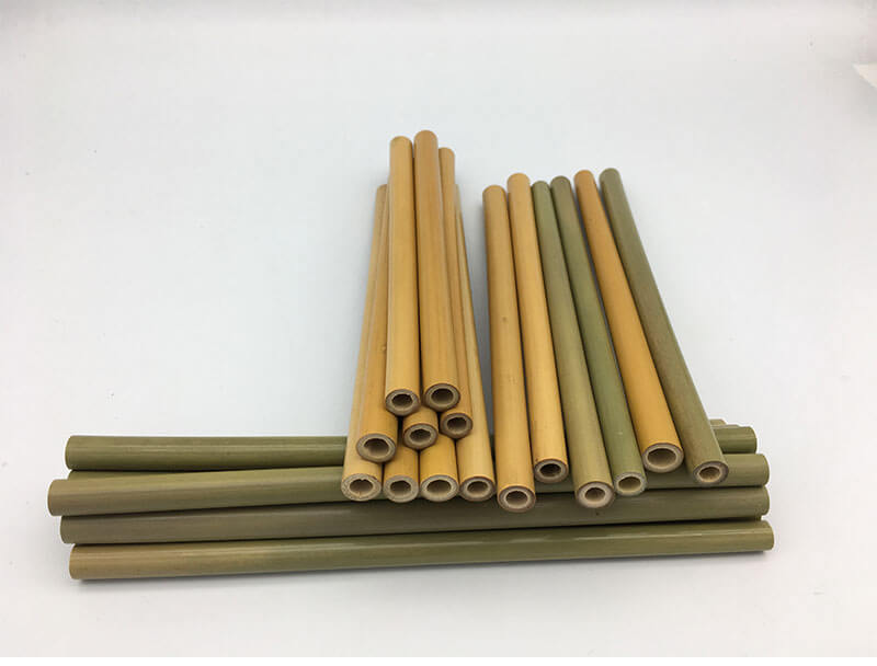 Paille bambou ou inox ? On vous guide dans votre choix ! – Hilloo  environnement