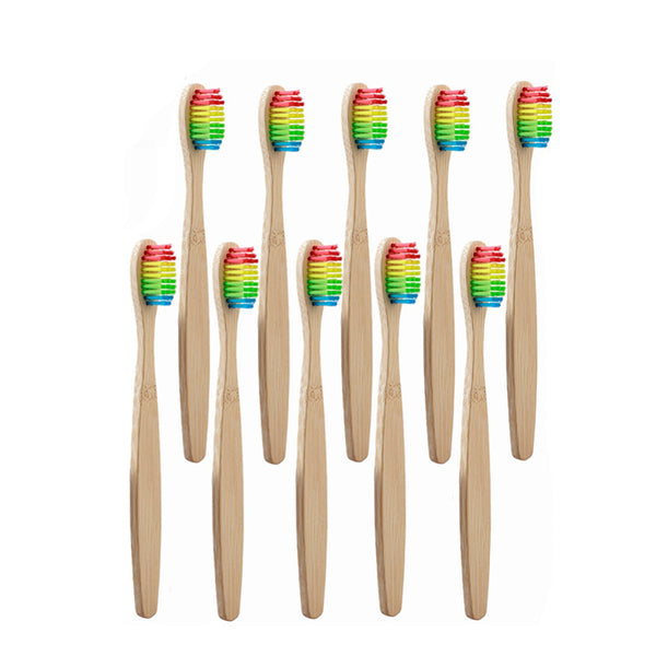 10 brosses à dents bambou arc en ciel